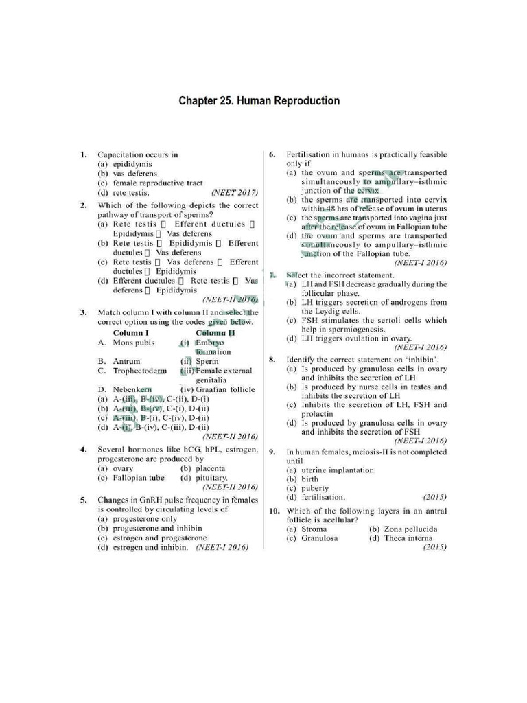 Selfstudys Com File | PDF
