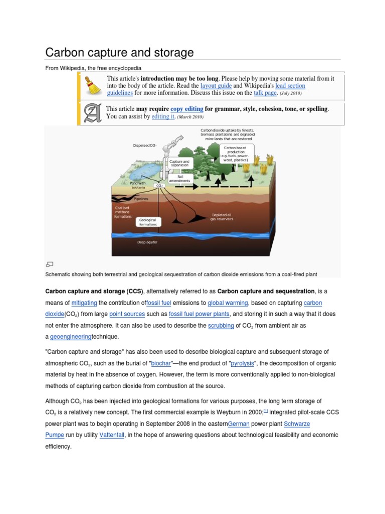 Carbon Capture and Storage Explained | PDF | Carbon Capture And Storage ...