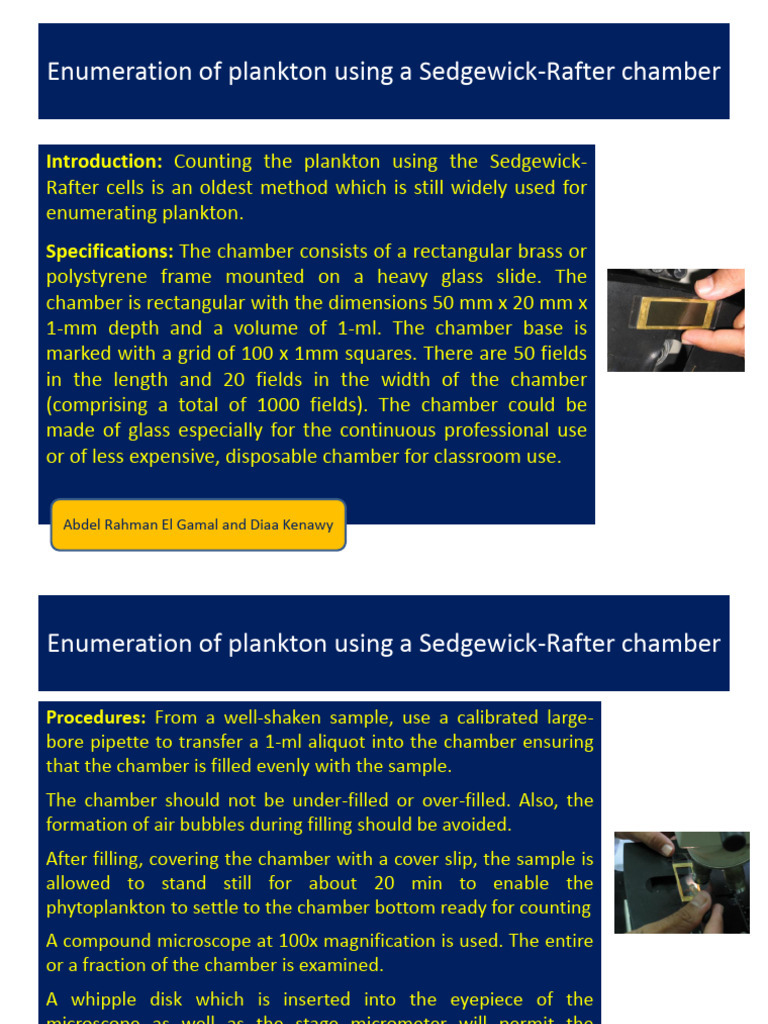 Enumeration of Plankton Using A Sedgewick Rafter Chamber | PDF