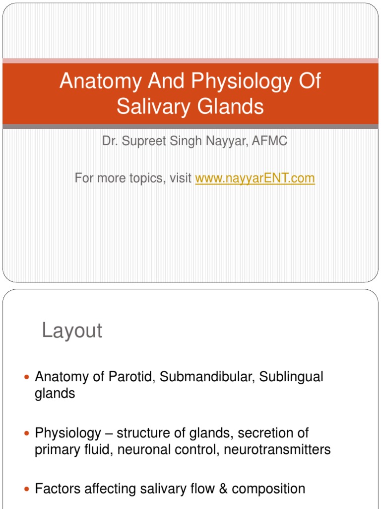 Anatomy and Physiology of Salivary Glands Biology Diagrams