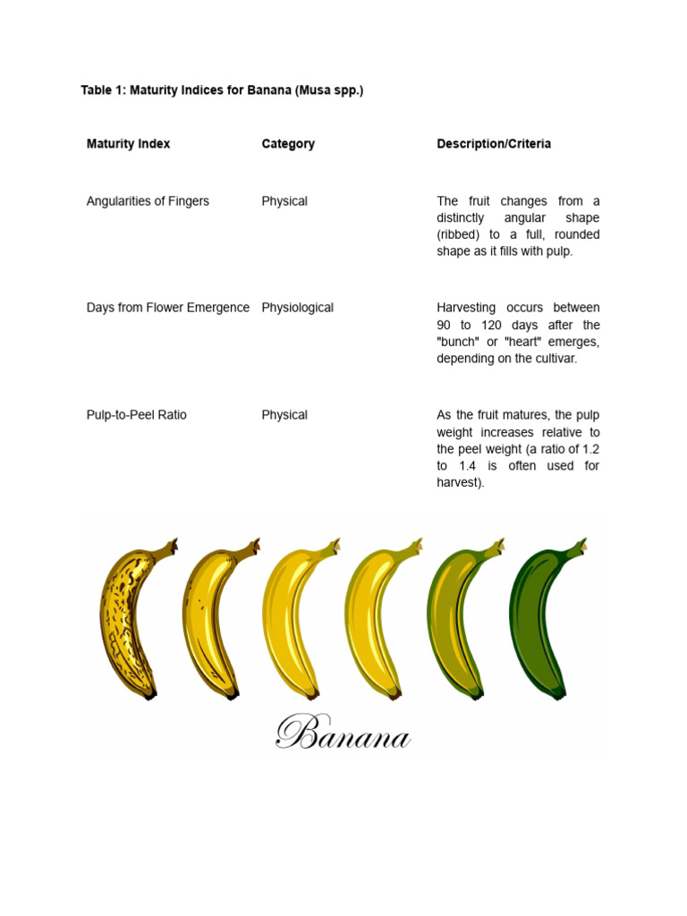 Table 1 - Maturity Indices For Banana (Musa SPP | PDF