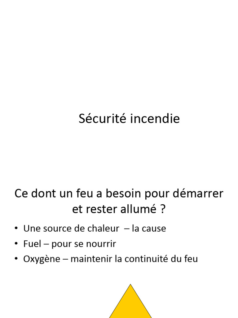 Fire Securité Du Feu | PDF | Feu