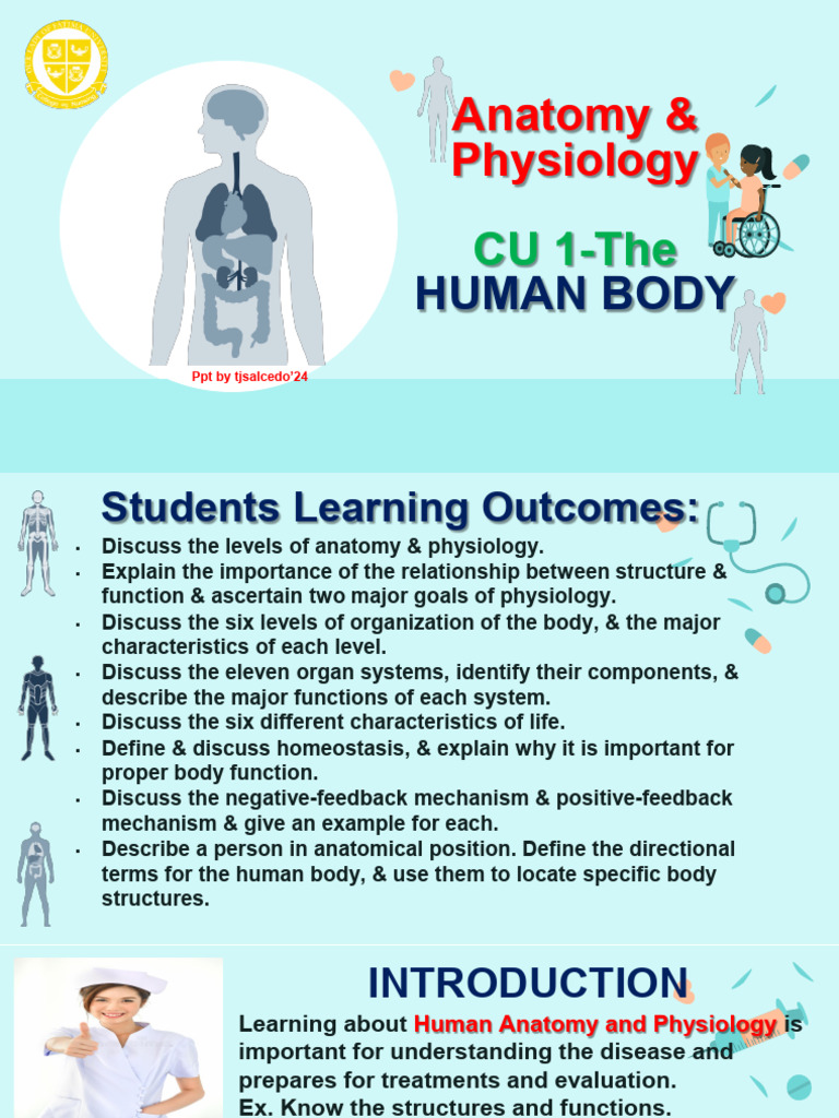 Salcedo CU 1 The Human Body 25 | PDF | Anatomical Terms Of Location ...