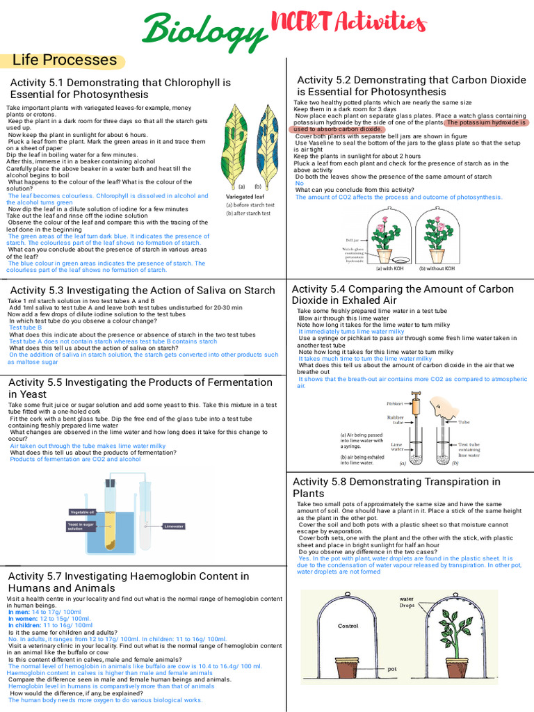Biology Ncert Activities 1 | PDF