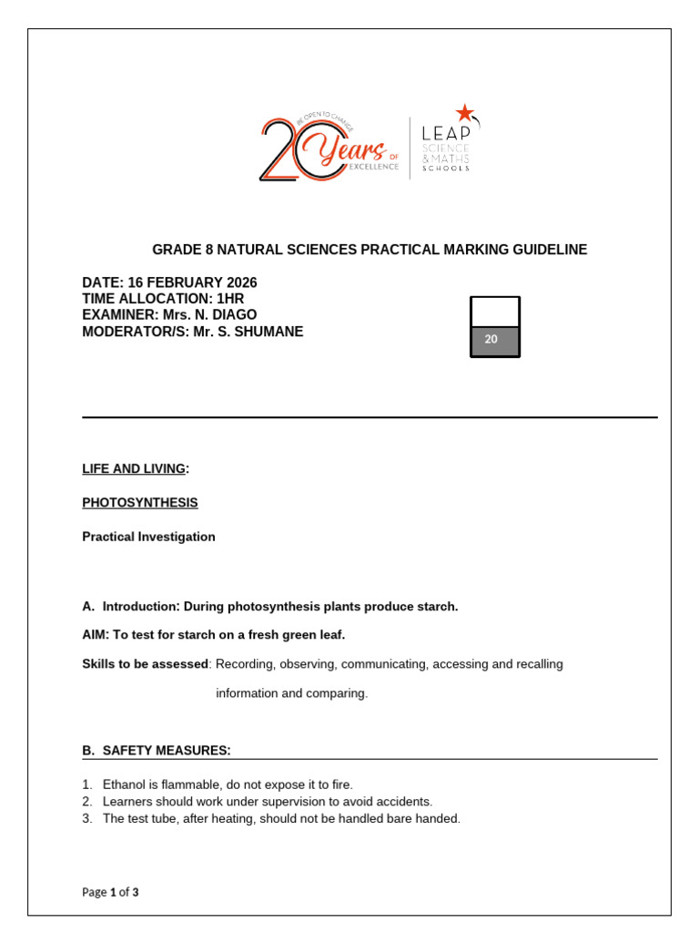 Grade 8 Term 1 Practical Investigation Marking Guidelines | PDF | Water ...