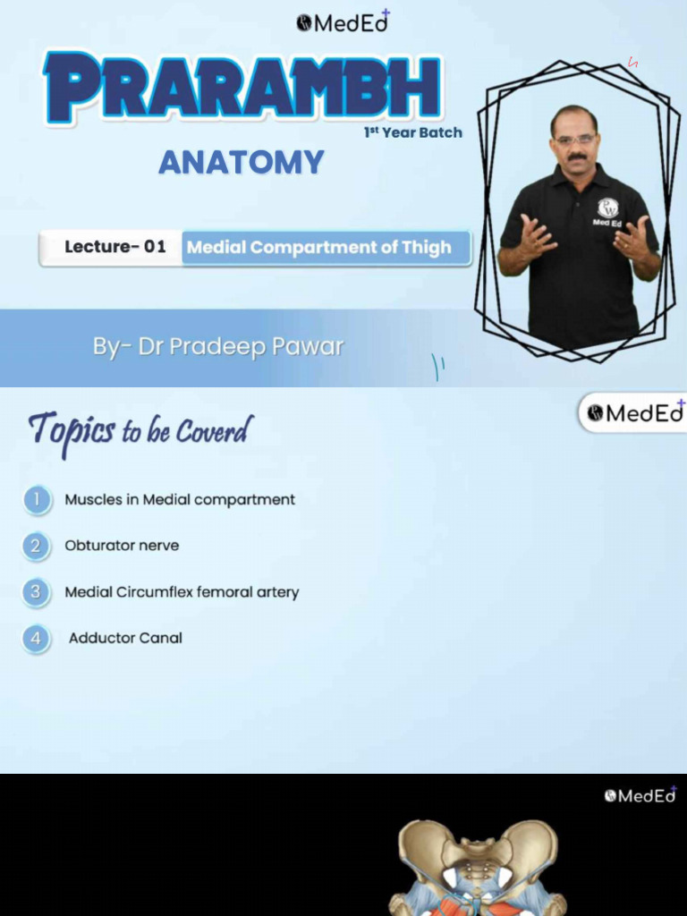 Medial compt of Thigh 01 Class Notes | PDF