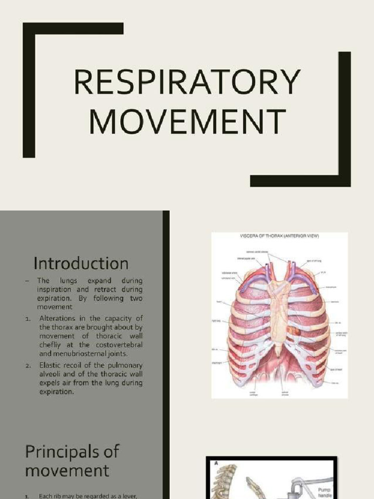 Respiratory Movements | PDF