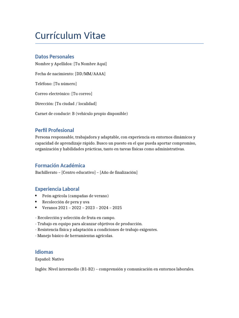 CV Simple | PDF