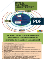 Dpa-punto y Circulo