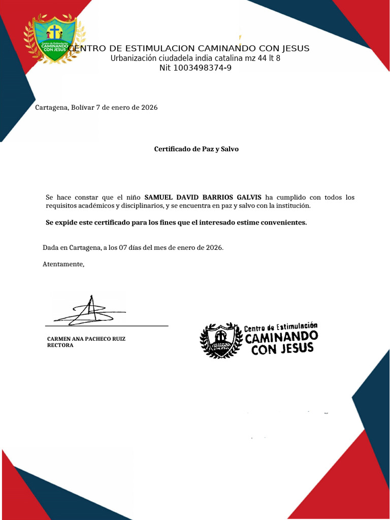 Paz y Salvo | PDF