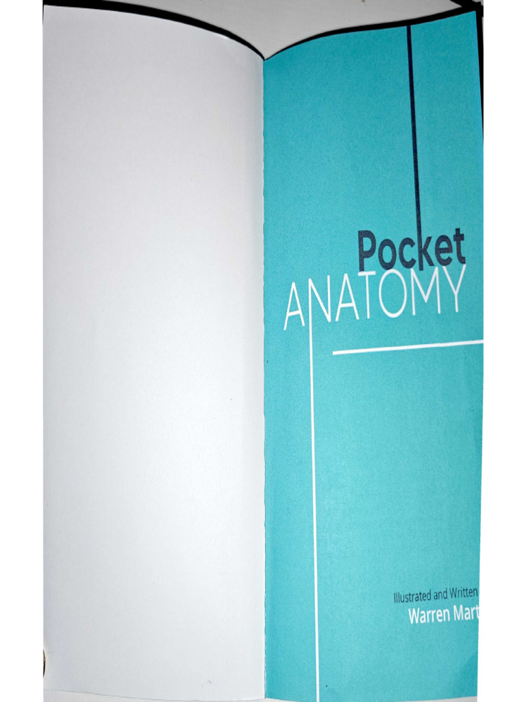 Pocket Anatomy: Figure Drawing | PDF