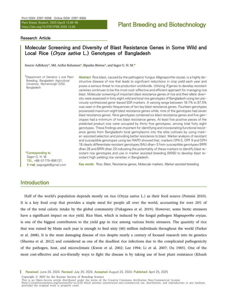 PBB 13 84 | PDF | Polymerase Chain Reaction | Plant Breeding
