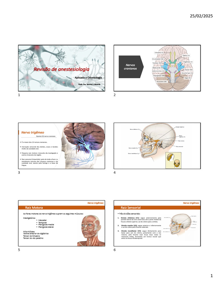 Anestesiologia | PDF | Cabeça e pescoço humano | Anatomia dos primatas