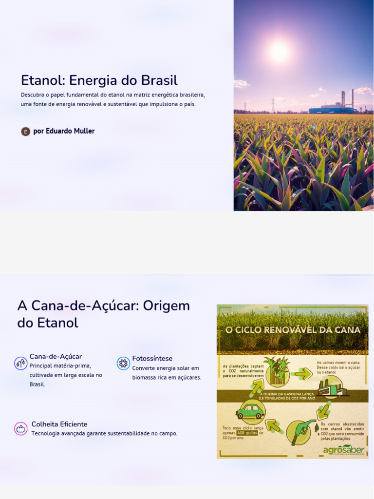 Etanol-Energia-do-Brasil - PDF 20250609 060655 0000 | PDF | Energia ...