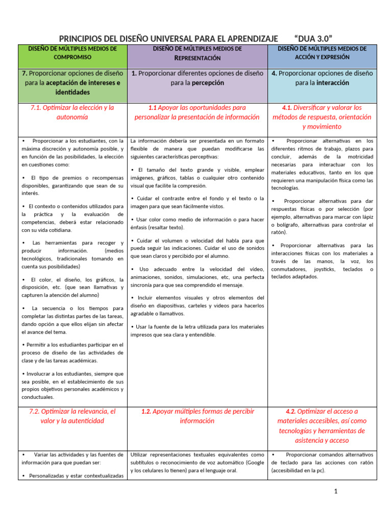 PRINCIPIOS DEL DUA EJEMPLOS 3.0 Actual-2 | PDF