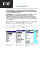 Usando o Data Report
