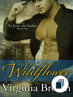 the To Love an Outlaw Series
