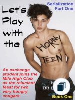 Let's Play with the Horny Teen Novel and Serialization