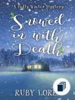 Holly Winter Cozy Mystery Series