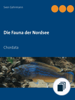 Die Fauna der Nordsee