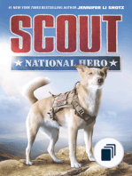 Scout