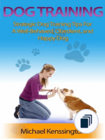 Dog Training Series