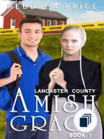 Lancaster County Amish Grace Series