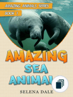 Amazing Animals Adventure Series