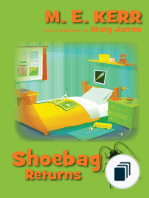 Shoebag