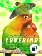 Dream Birds