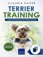 Terrier Training
