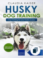 Husky Training