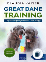 Great Dane Training