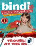 Bindi's Wildlife Adventures