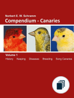 Compendium - Canaries