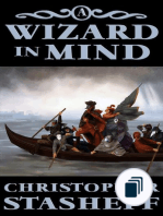 Chronicles of the Rogue Wizard
