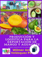 Producción, logística y Exportación