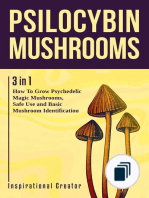 Medicinal Mushrooms