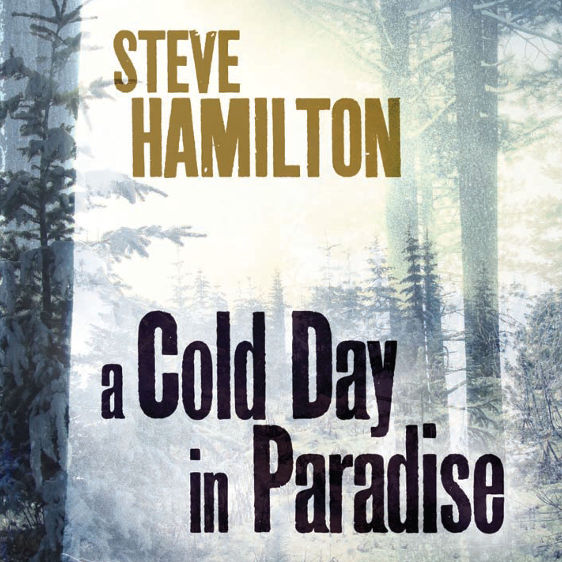 Alex McKnight Series by Steve Hamilton audiobook Everand