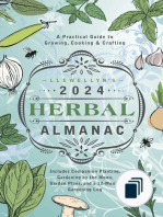 Llewellyn's 2024 Calendars, Almanacs & Datebooks