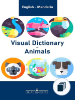 English - Chinese Visual Dictionaries