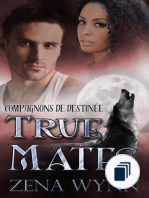 Compagnons de Destinée