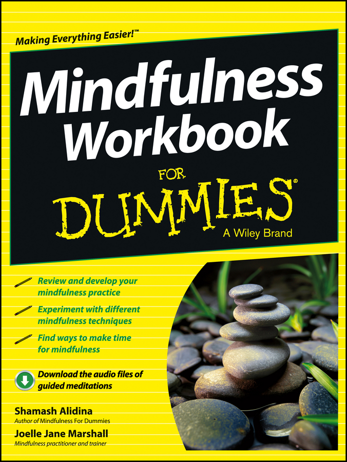 Read Mindfulness Workbook For Dummies Online by Shamash Alidina and