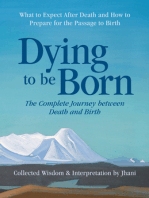 Dying to be Born: The Complete Journey Between Death and Birth