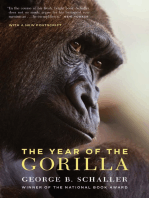 The Year of the Gorilla