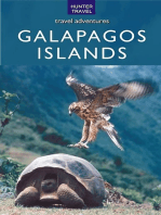 Galapagos Islands - Travel Adventures
