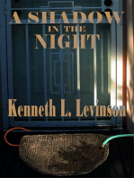 A Shadow in the Night (Adam Larsen Mysteries #1)