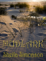 Mudlark (Lark Dodge Mysteries)