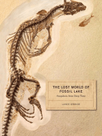 The Lost World of Fossil Lake