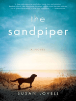 The Sandpiper